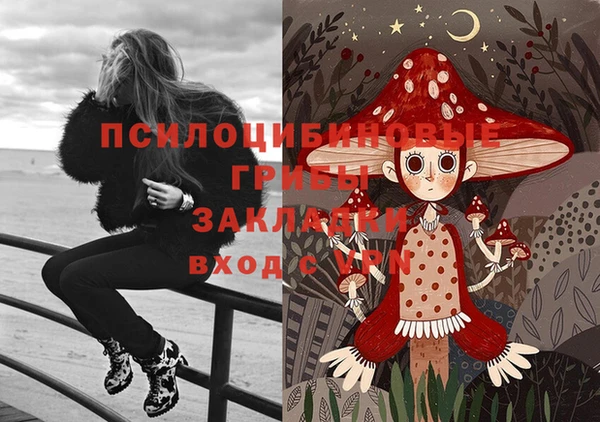 амф Абаза