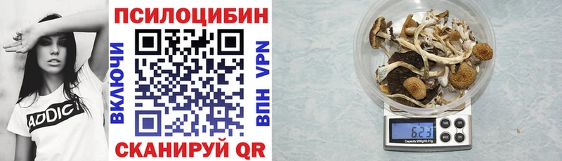 Псилоцибиновые грибы Cubensis Приморско-Ахтарск