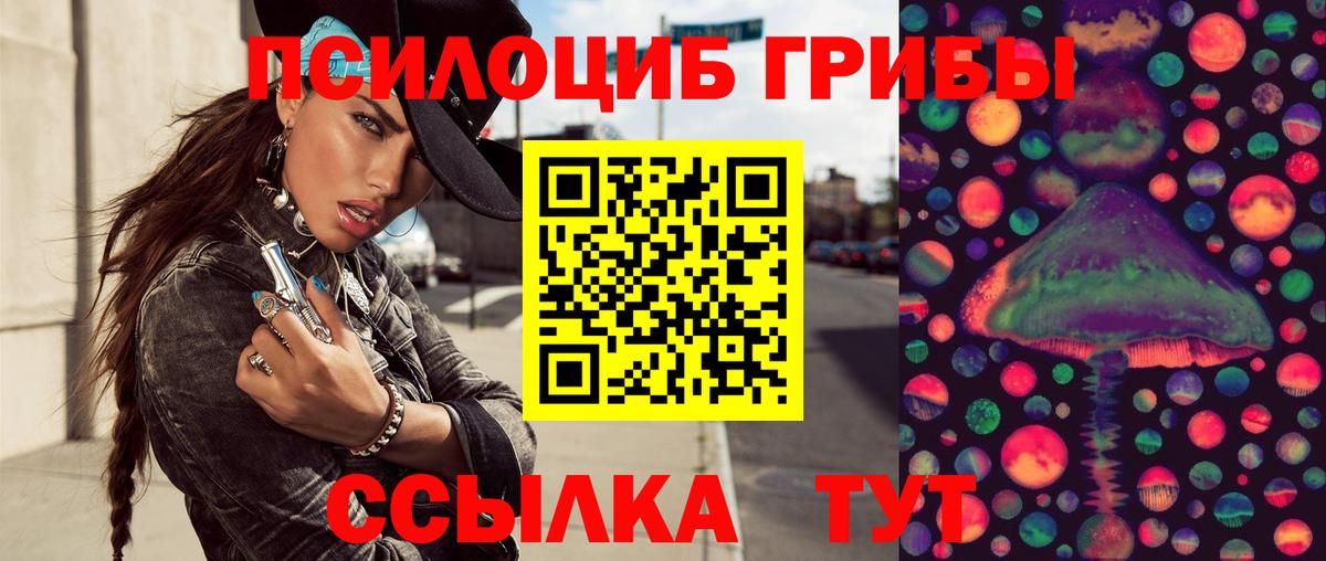 Псилоцибиновые грибы Cubensis Приморско-Ахтарск